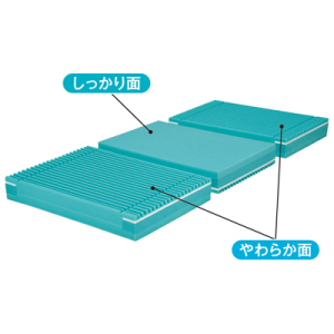 まざ〜てれさ マザー・テレサ | カトリック中央協議会