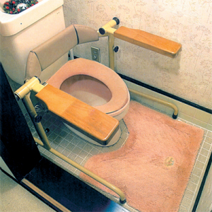 トイレ用背もたれ付手すり TORE(トレ)イーゾ